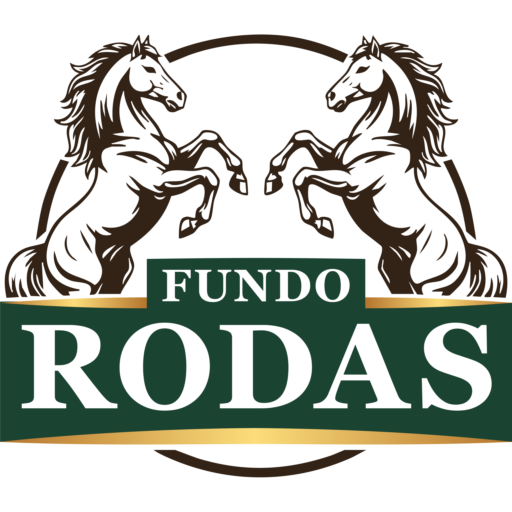 Fundo Rodas